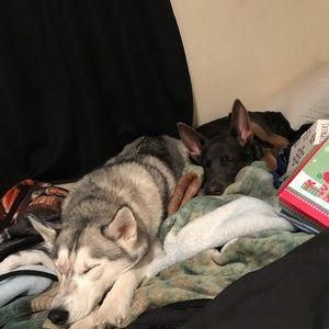 Meet your Posher, Cole